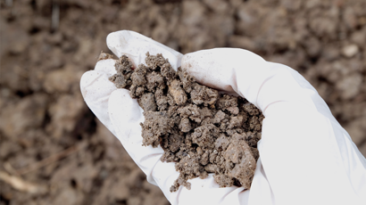 Contaminated Soil