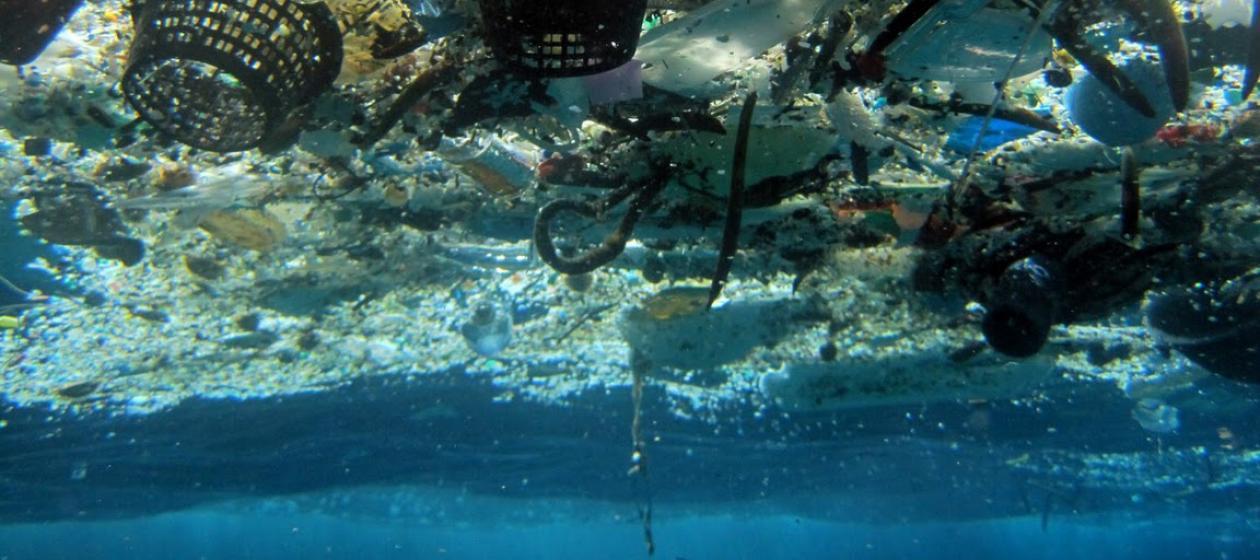 A Sea of Rubbish: The Great Pacific Garbage Patch - Trade Skips